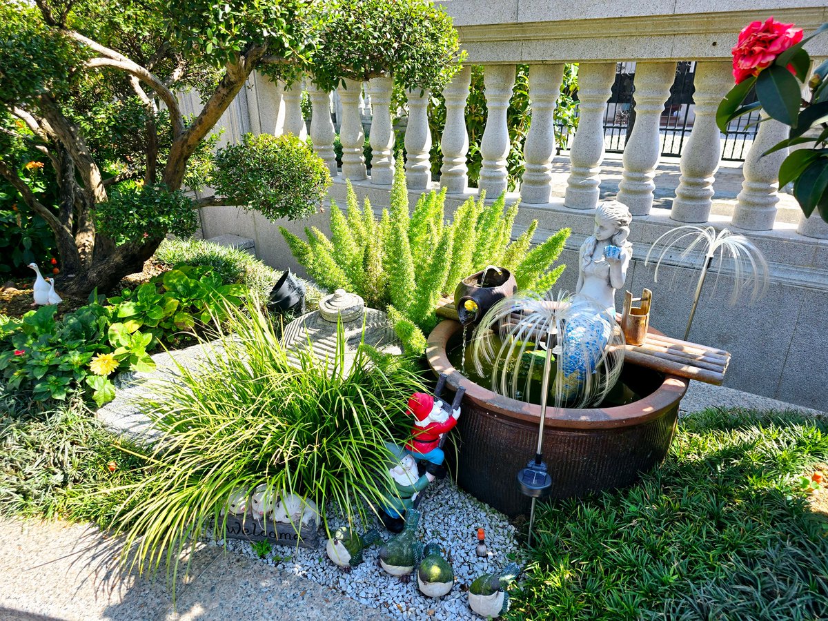 Missee Me tweet media