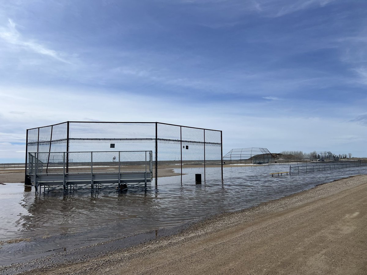 Micheal Lam tweet media