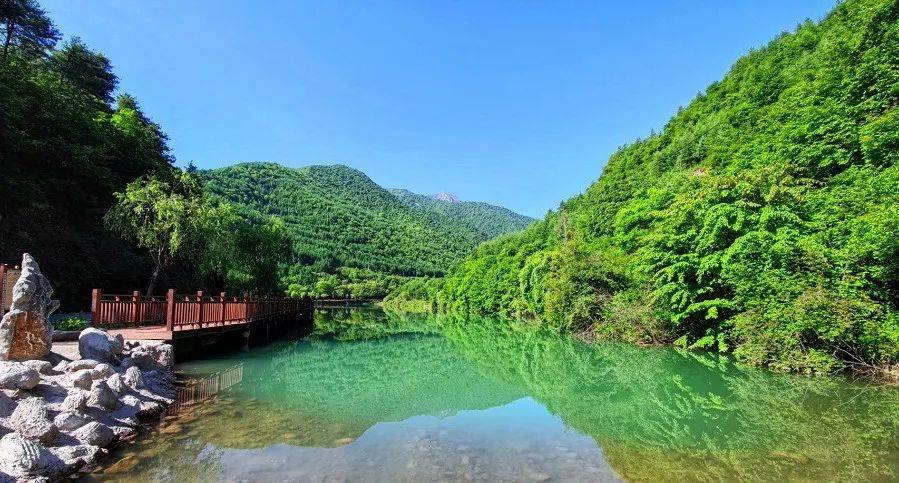 Wade Sawaya tweet media