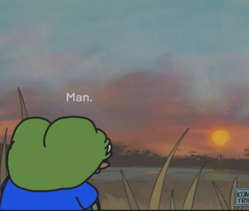 R I S H A tweet media