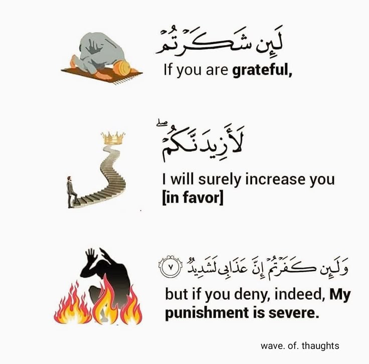 القرآن الکریم tweet media