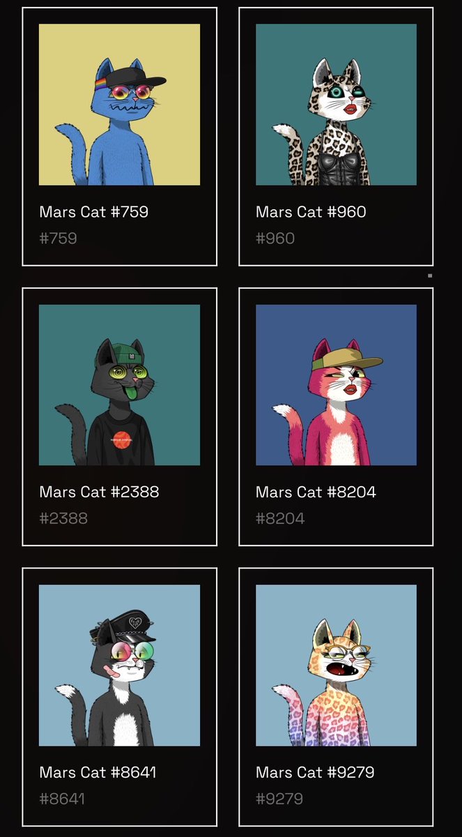 Neptumer 🏴 tweet media