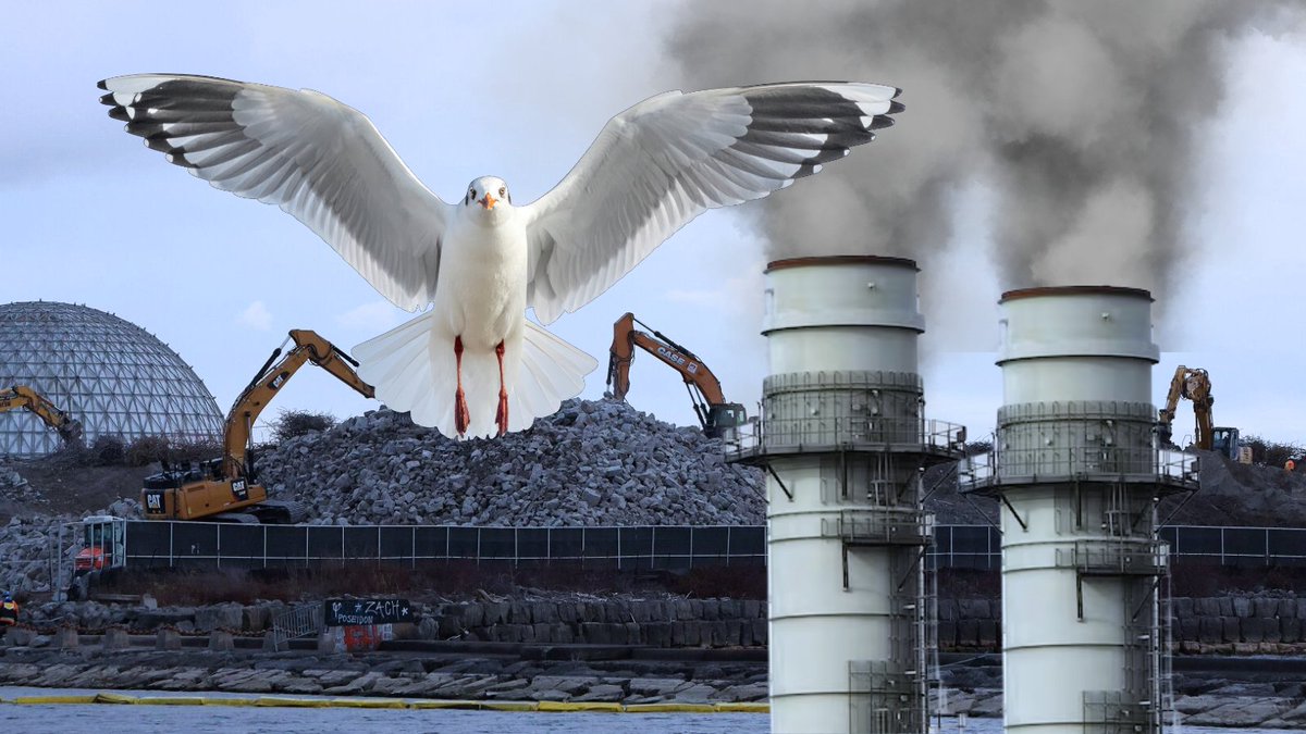 ᴏɴᴛᴀʀɪᴏ ᴄʟᴇᴀɴ ᴀɪʀ ᴀʟʟɪᴀɴᴄᴇ 🇨🇦 tweet media