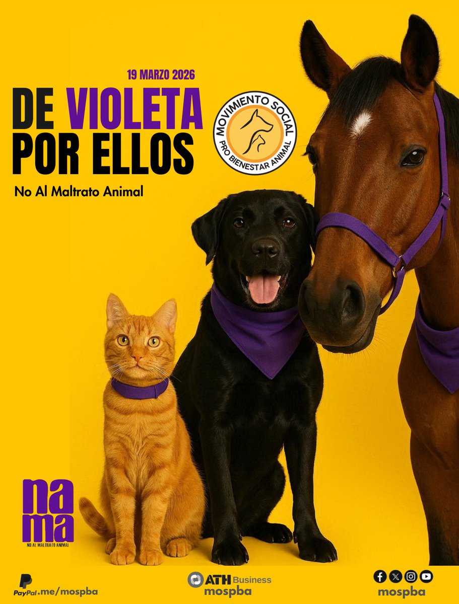 Movimiento Social Pro Bienestar Animal (MOSPBA) tweet media