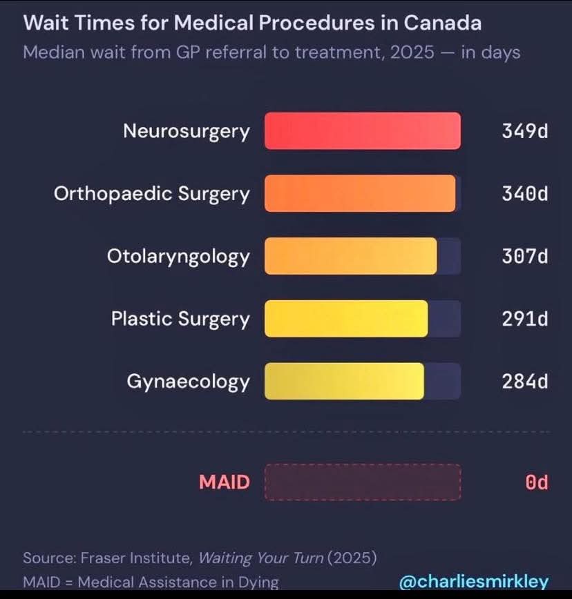 Fear Zero tweet media