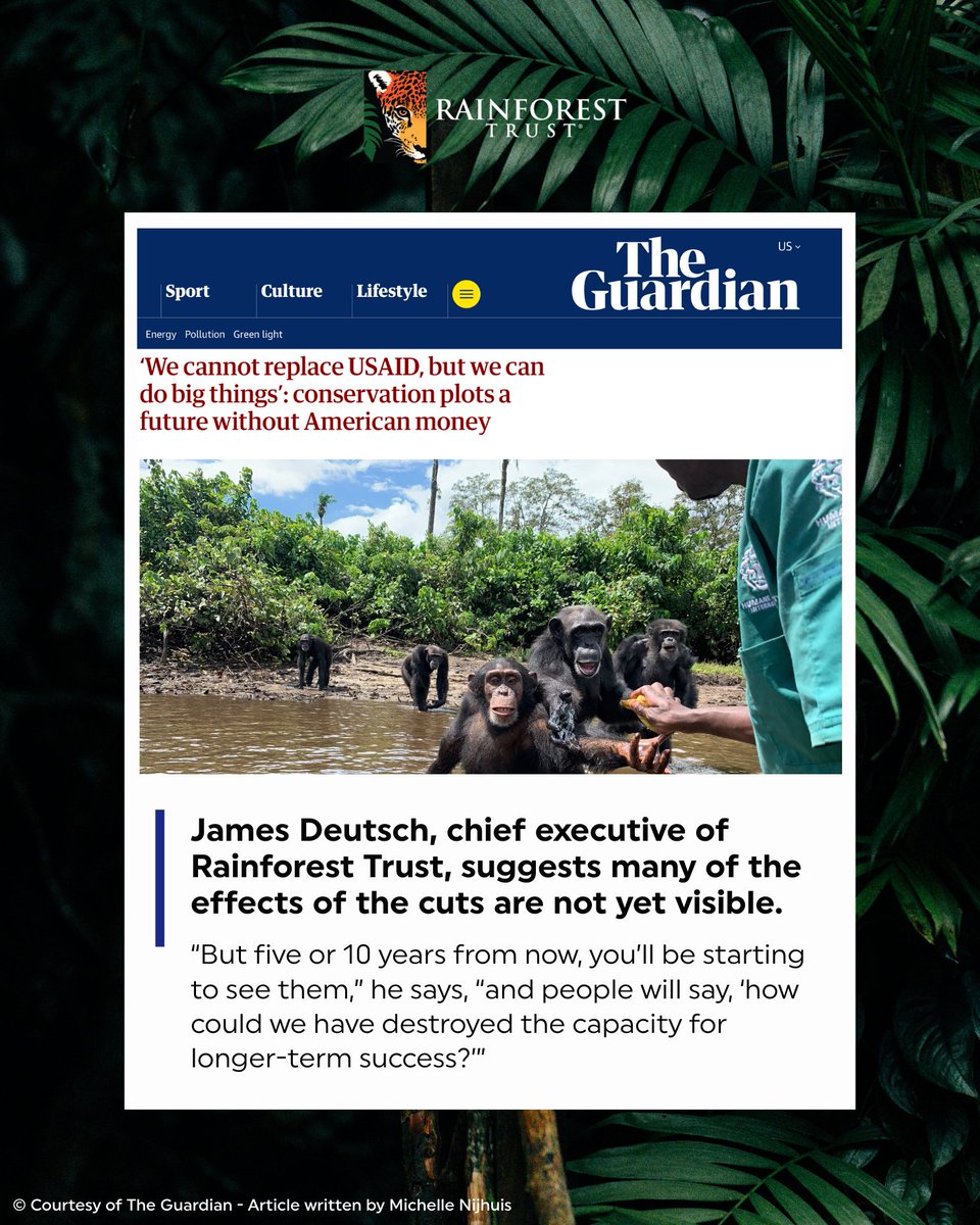 Rainforest Trust tweet media