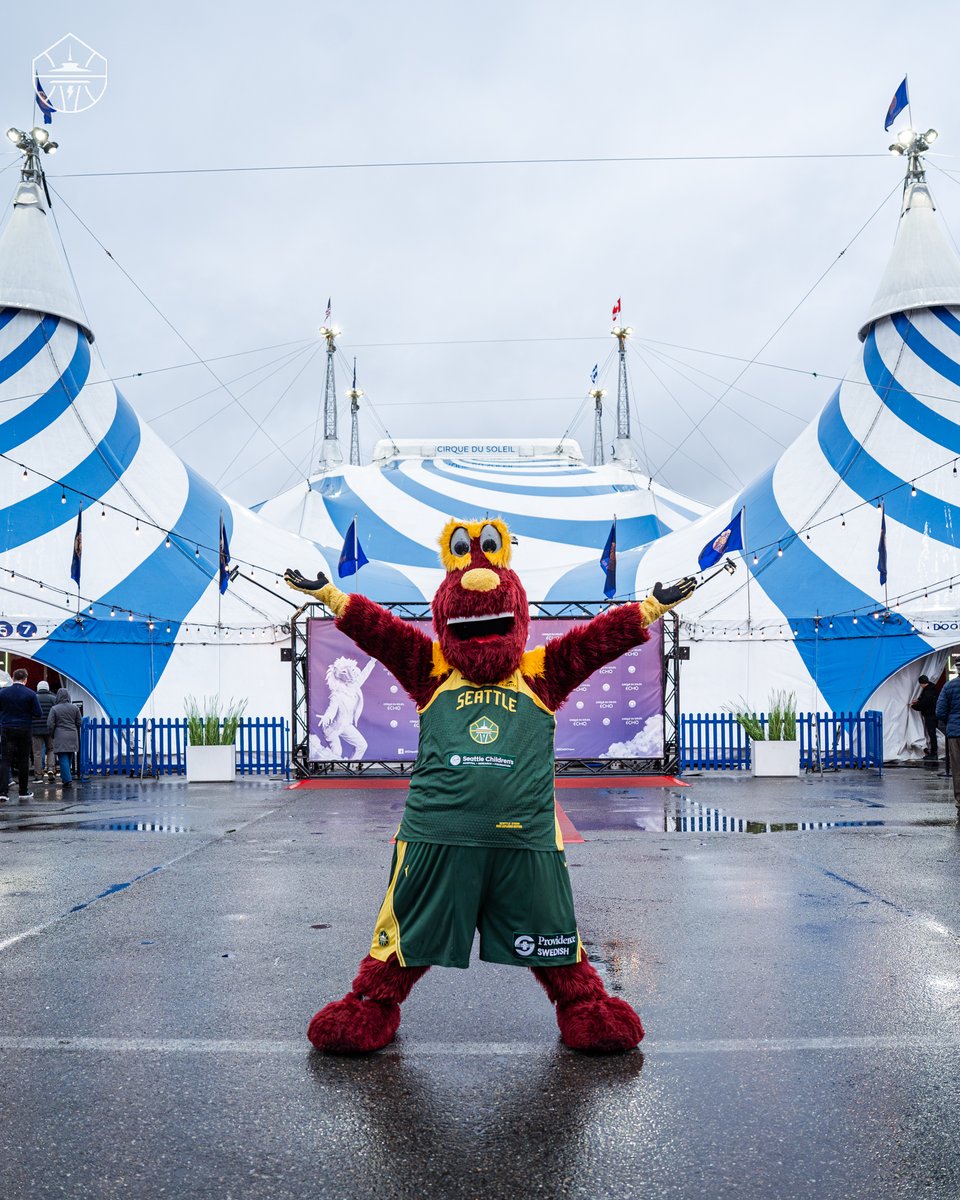 Seattle Storm tweet media