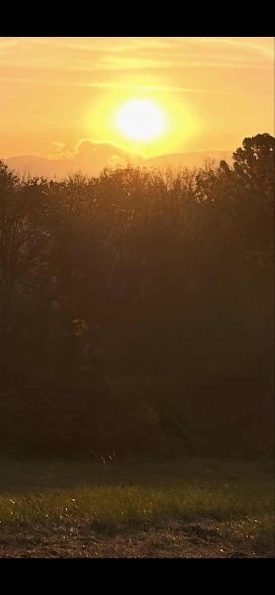 Amy Jo Baxter tweet media