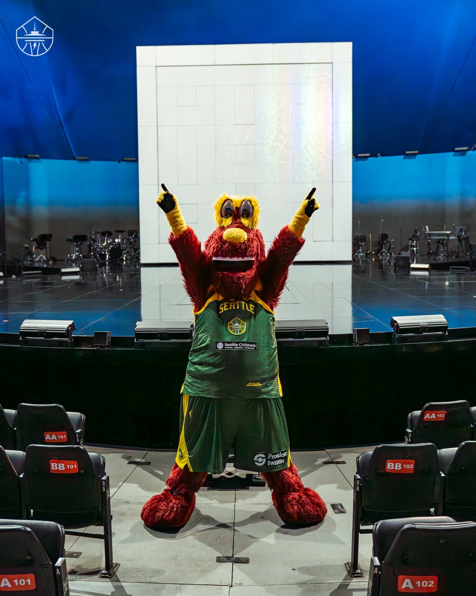 Seattle Storm tweet media