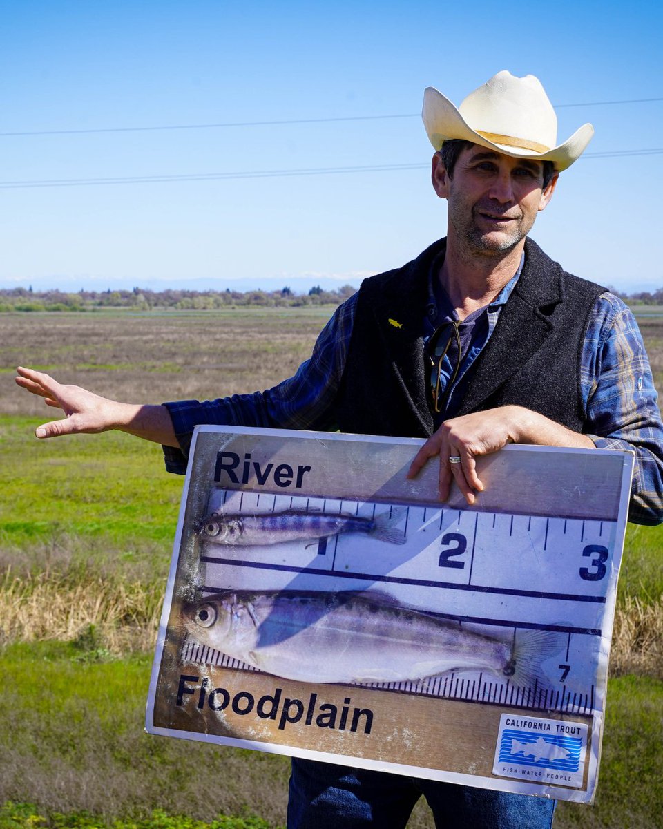 California Trout tweet media