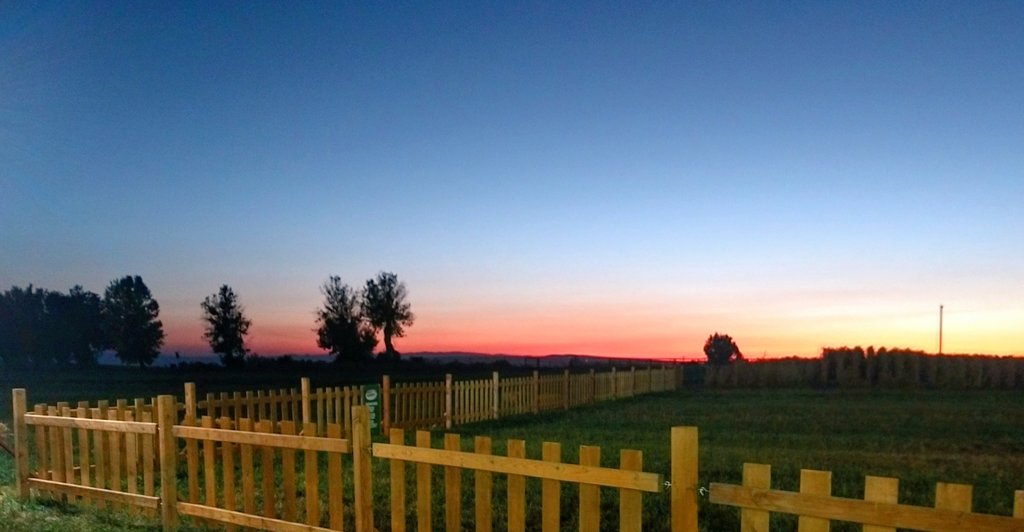 julie 💭 tweet media