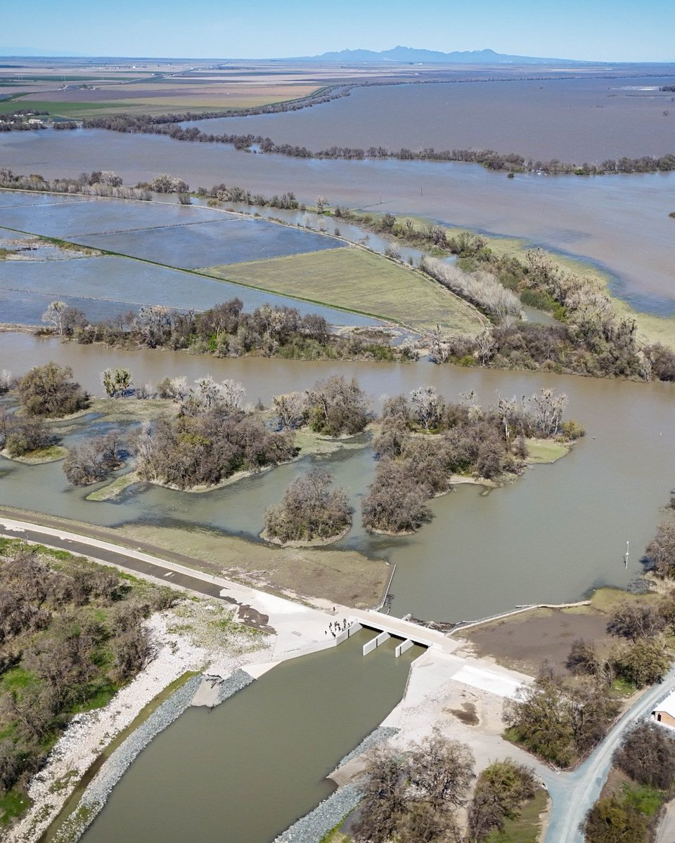 California Trout tweet media