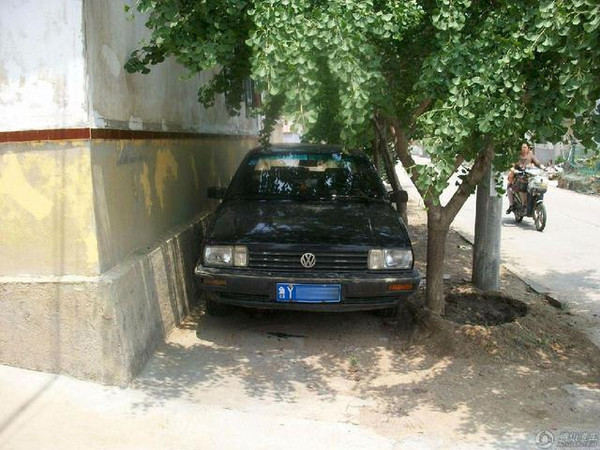 Vudinhhao tweet media