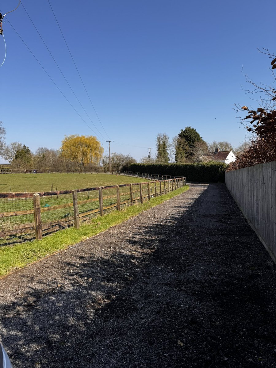 DH Maintenance tweet media