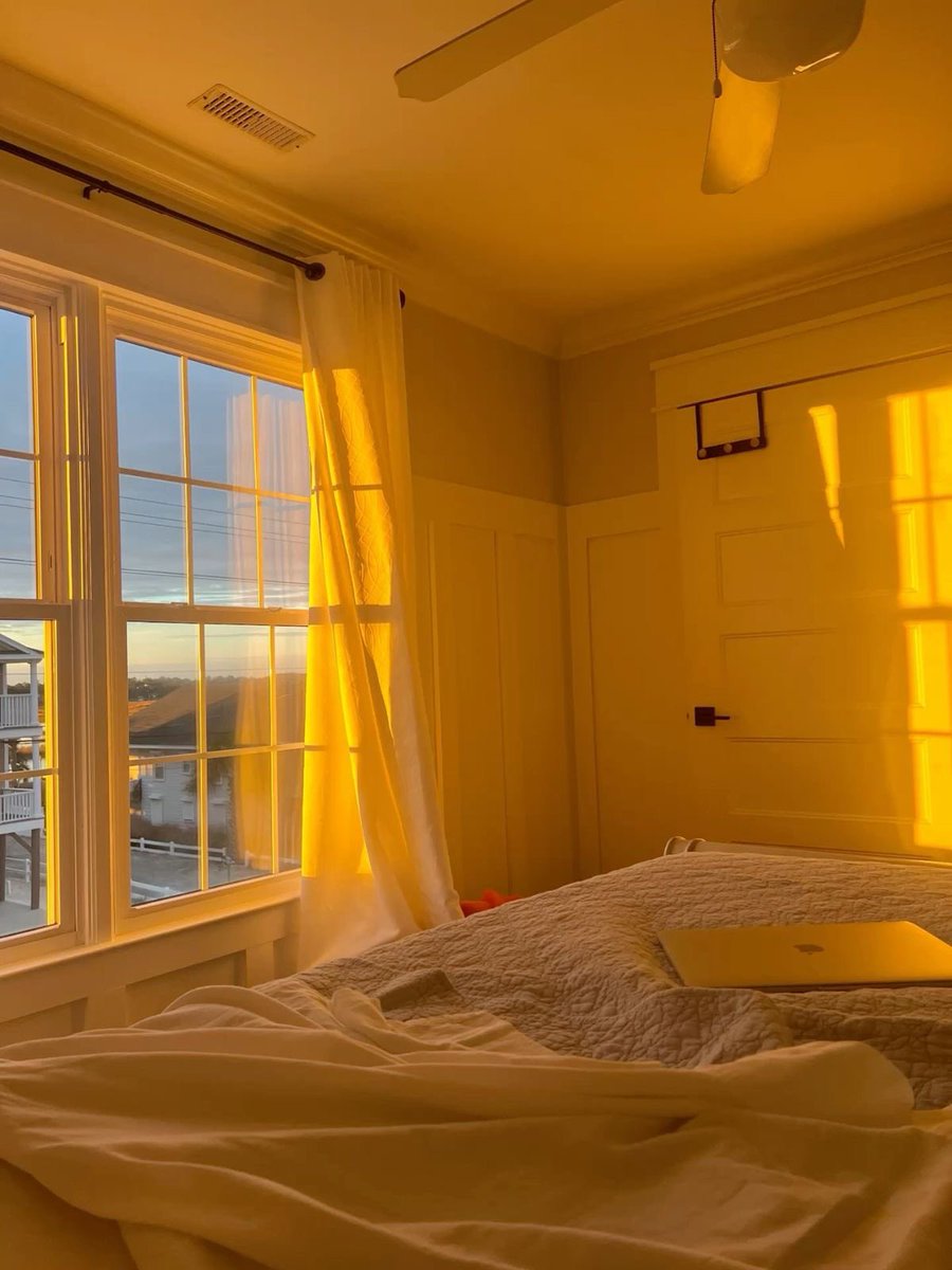 syrax 𓆉𓇼 tweet media