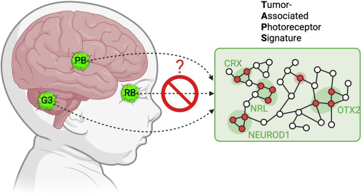 Cancer Cell tweet media
