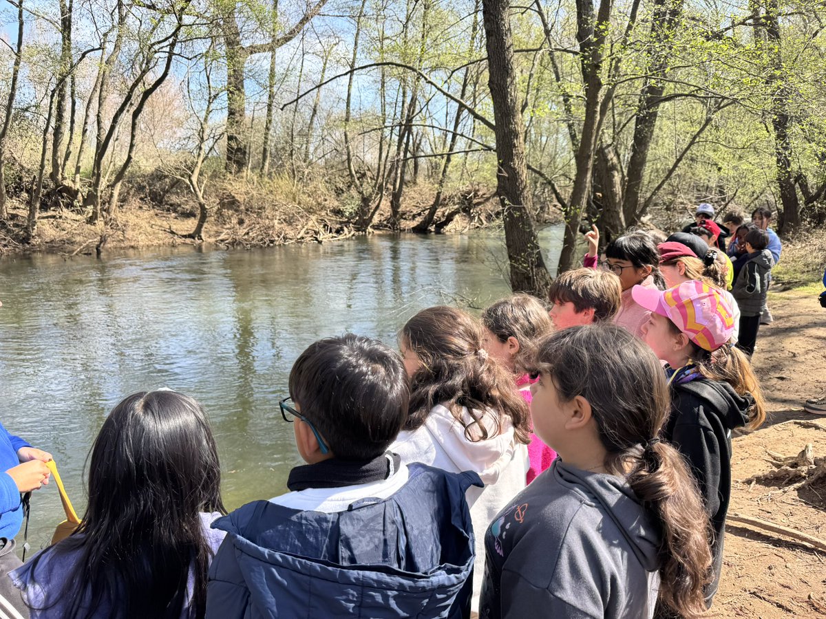 nazaretoporto's tweet photo. Días inolvidables en Aventurarte con nuestros alumnos de 5º EP de CEI El Jarama 💚
Risas, compañerismo y momentos que no se olvidan. Gracias a los monitores por hacerlo todo tan especial 🙌
¡Una experiencia para repetir! ✨
#Aventurarte @CeiElJarama #5EP https://t.co/923hgviVpj