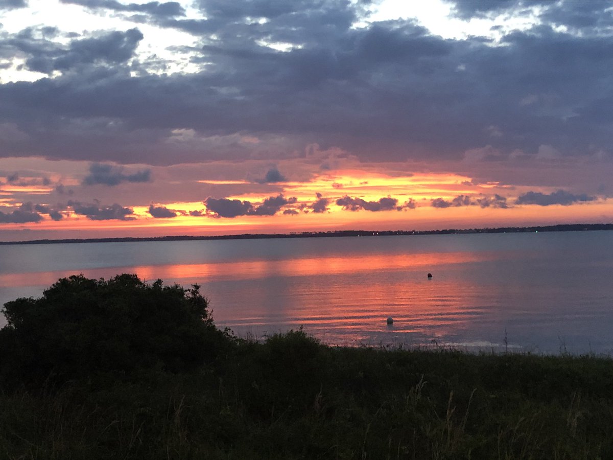 Nina Smith tweet media