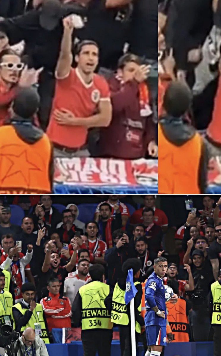 Quero é que o Enzo se f***

LV