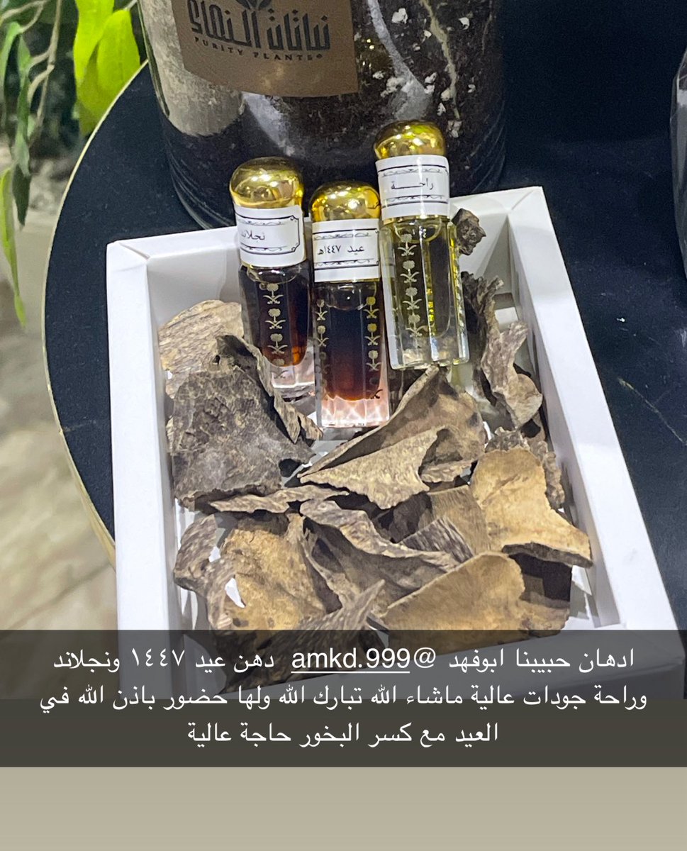 trok( أبوراشد ) tweet media