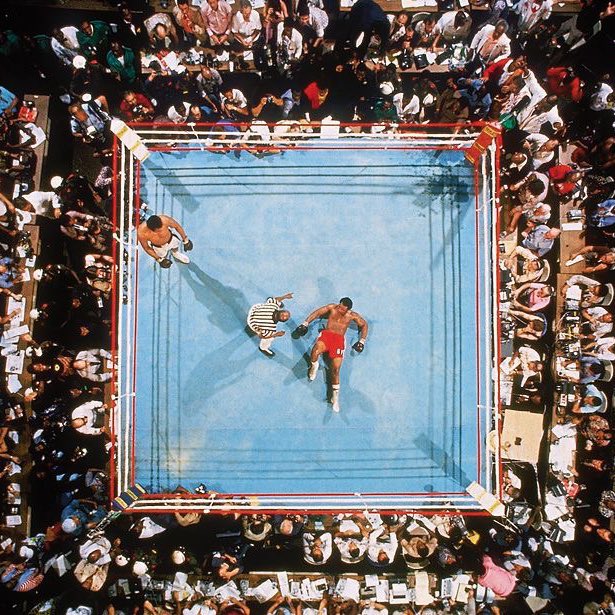 Downloaded tweet media