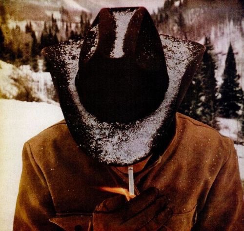 Downloaded tweet media