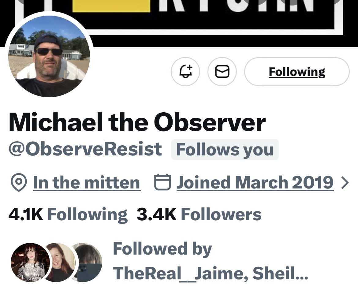 Turquoise Cat tweet media