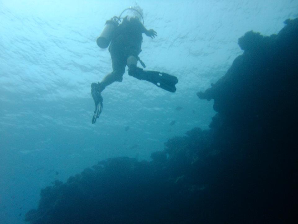 🅺🅰🆁🅻🅴🅰🆂🆃🅻🅾🅽🅳🅾🅽 1-Cockney 🇬🇧 ⚒WHU⚒ tweet media