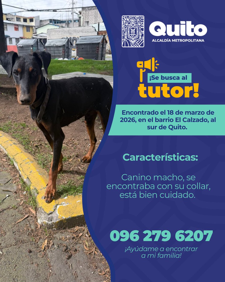 Unidad de Bienestar Animal Quito tweet media