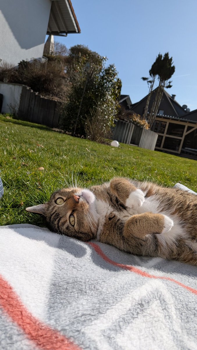 ᴊᴀɴ π tweet media