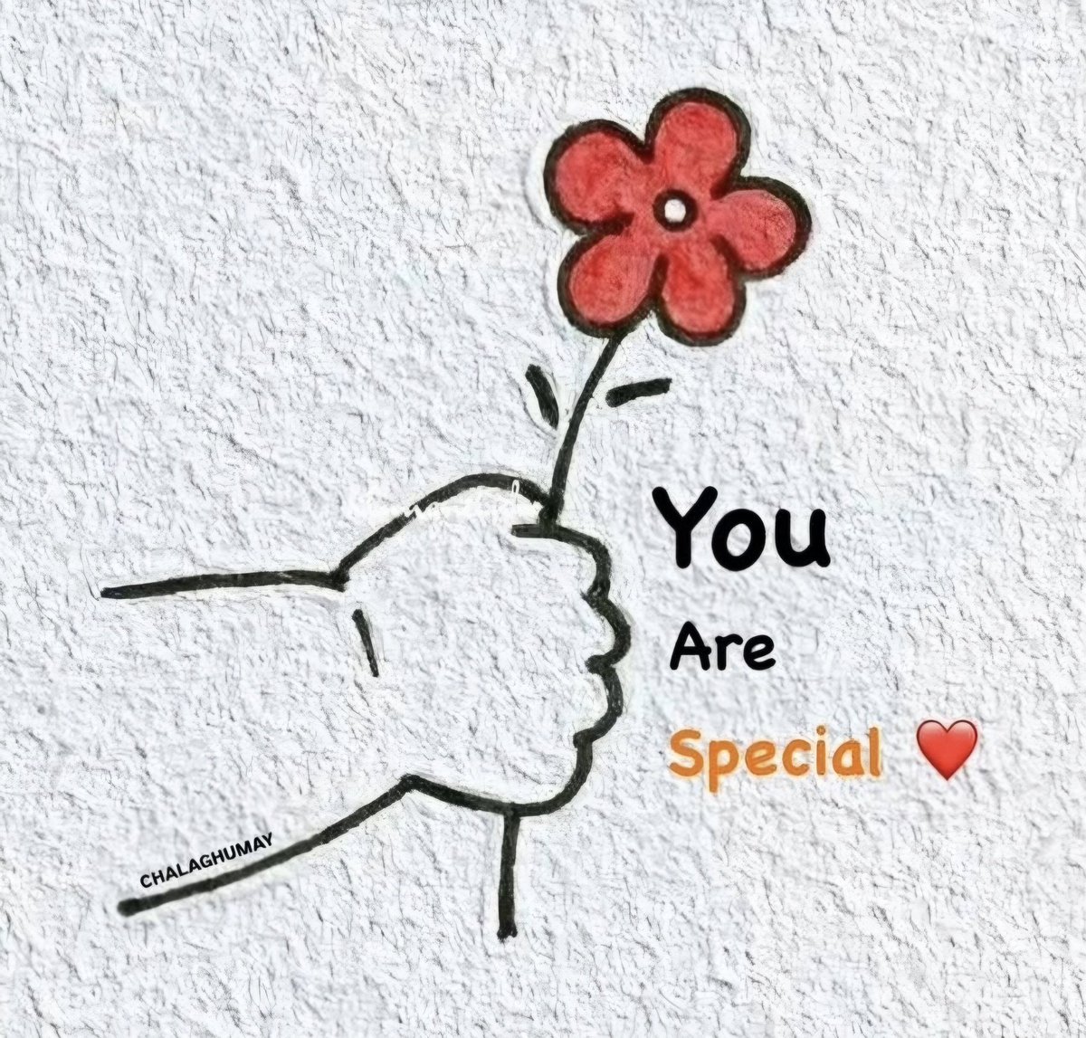 Klar Name 🐝Sumsibrumm 🐝 tweet media