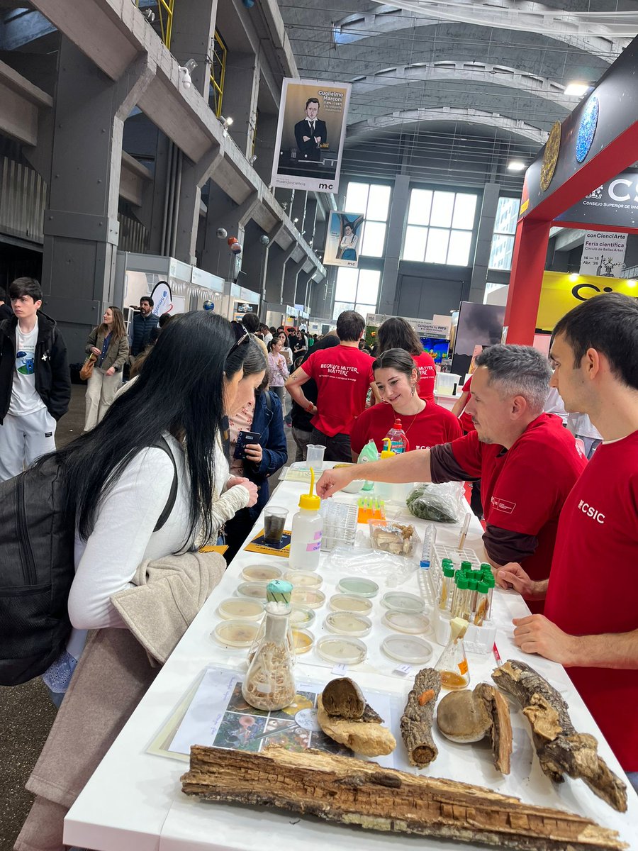 CIB Margarita Salas (CSIC) tweet media