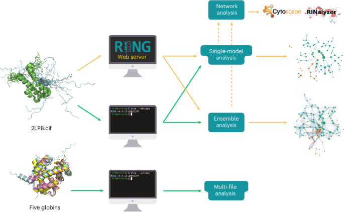 Nature Protocols tweet media