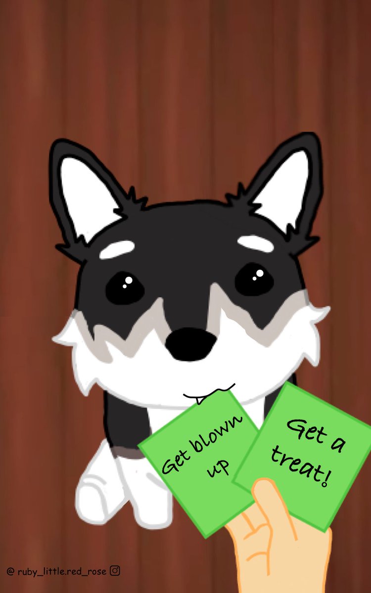 Wolfy Dolt🐾 tweet media