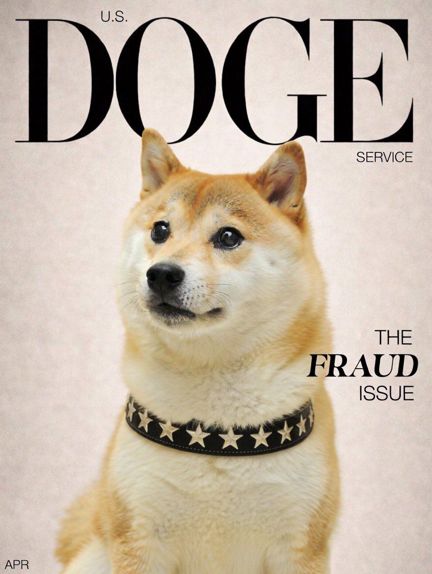 ALX 🇺🇸 tweet media