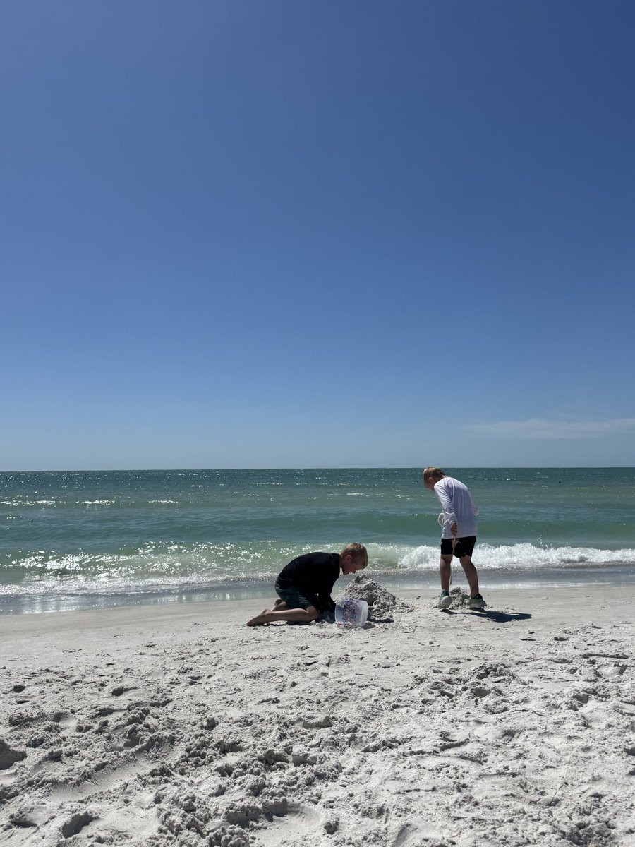 Taylor A Murphy tweet media