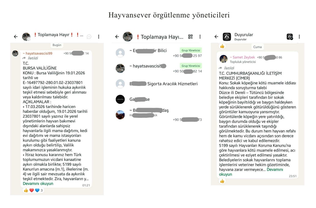 Başıboş Köpek Tehlikesi tweet media