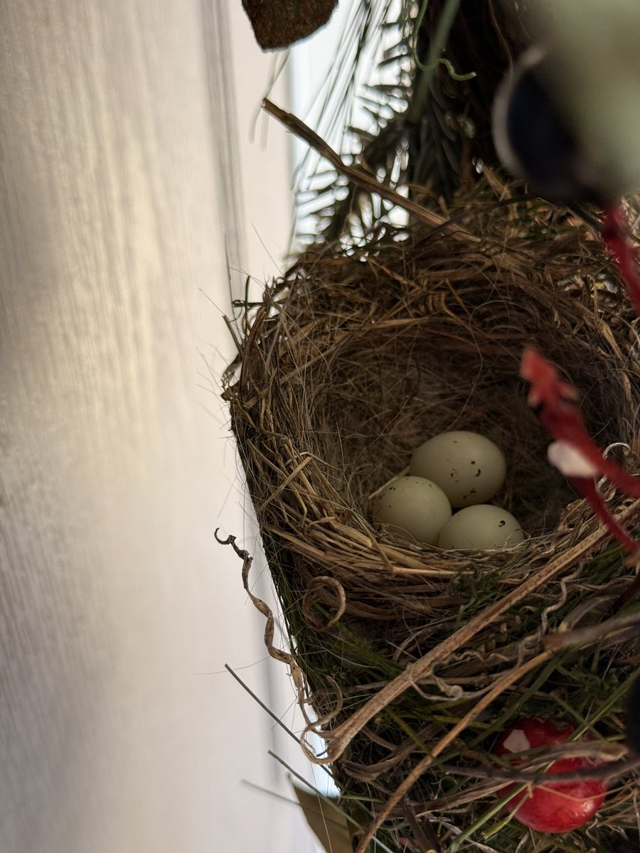 Ruby 🇺🇸 tweet media