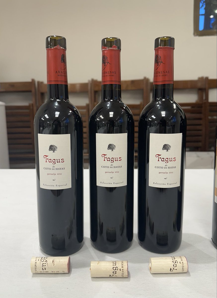 Víctor J. Ruiz de Diego / 🏛 tweet media