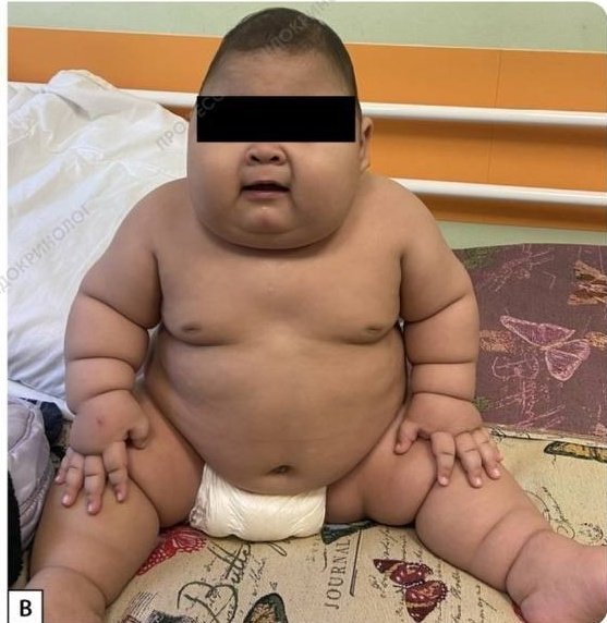 Dr Ihab Suliman tweet media