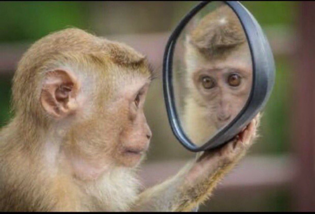 Assidikh tweet media