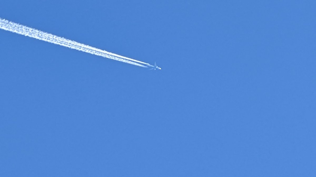 CK 🇺🇸 tweet media