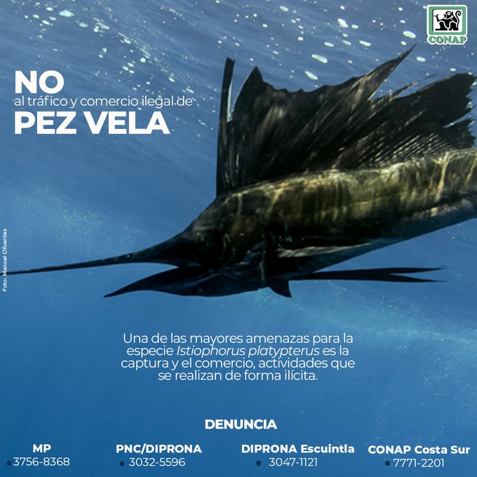 📻 Radio TGWTV tweet media