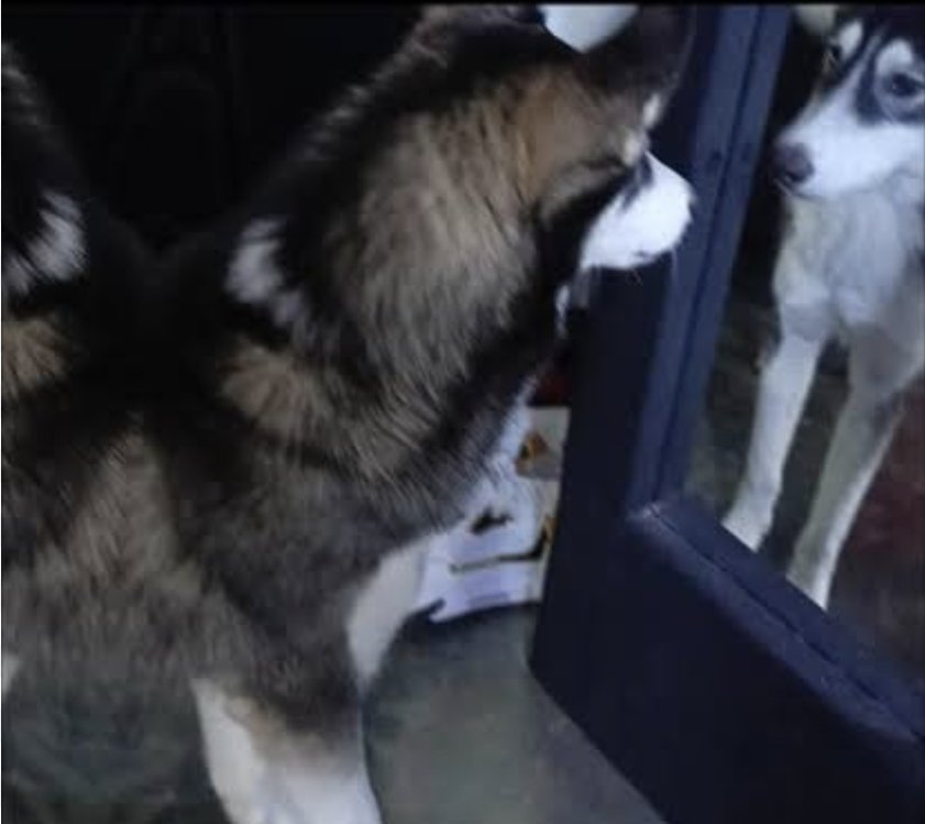 Herrerismo Bicampeón ⭐️⭐️...⌛️ tweet media