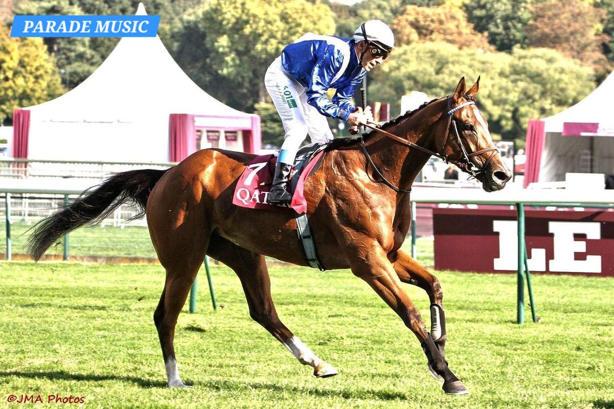 Wildenstein Breeding - FanPage tweet media