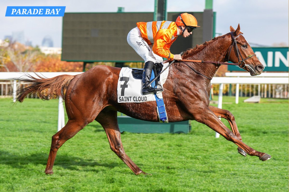 Wildenstein Breeding - FanPage tweet media