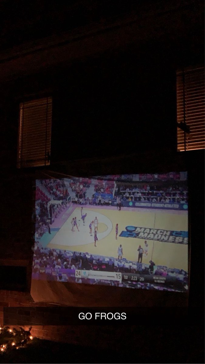 Roll Toad tweet media