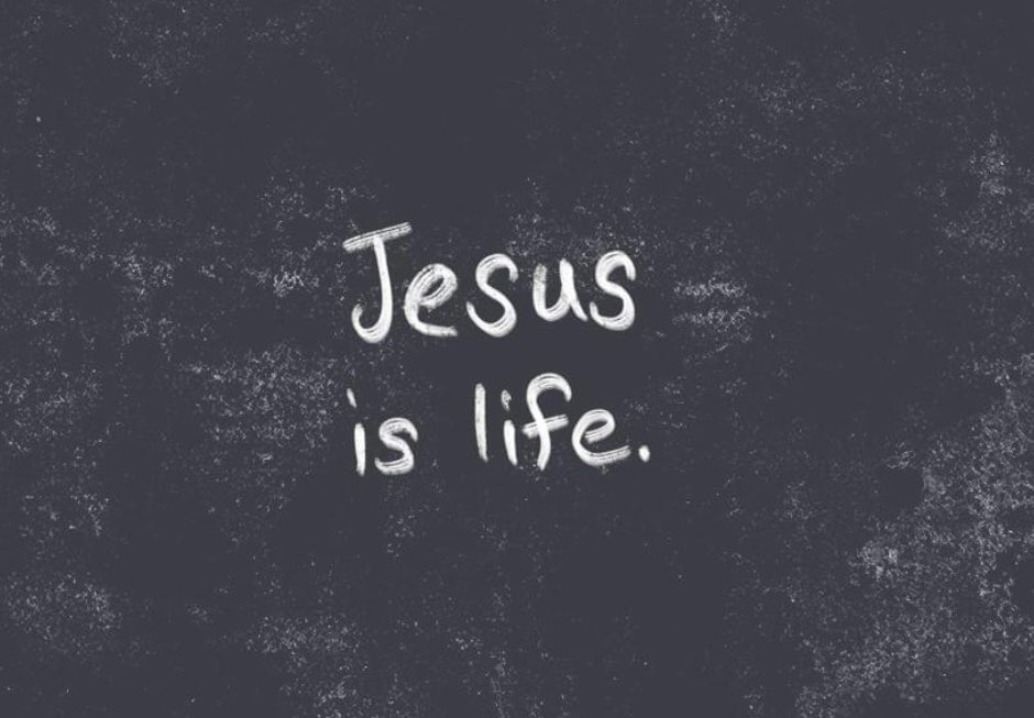 Linda 🐺 🙋🏻🪶💫☕️🇺🇸🐺 tweet media