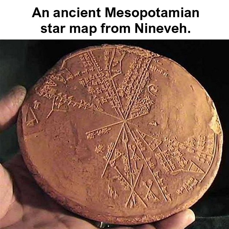 Goran Vukajlović tweet media