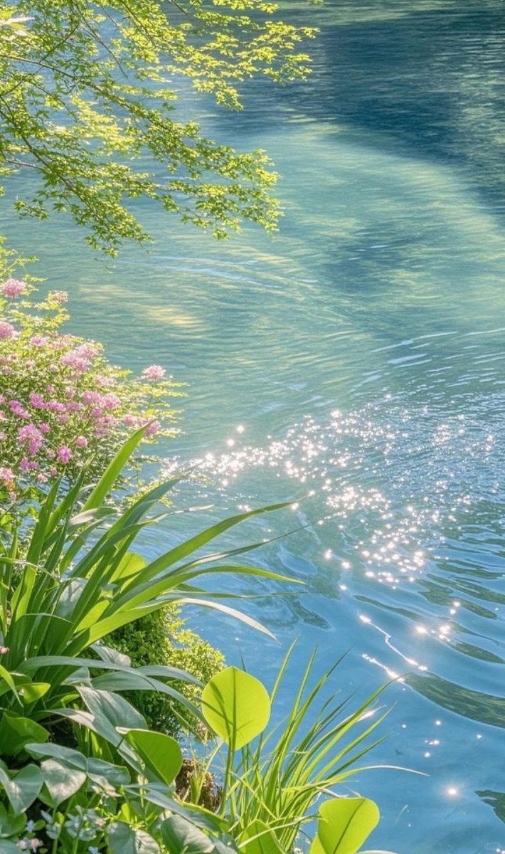 landspace tweet media